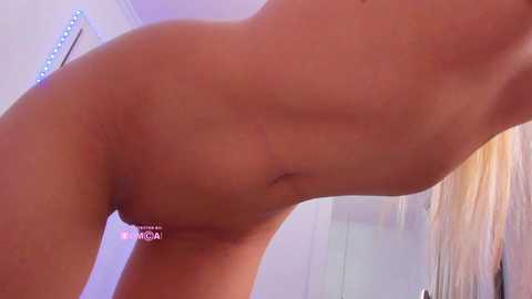 meow @ bongacams on 20260101