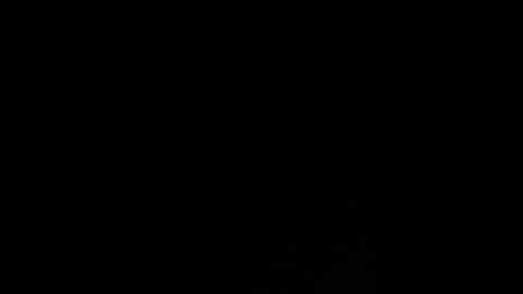 sallyeleins @ bongacams on 20260101