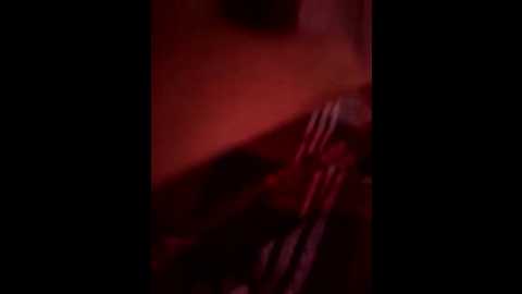 vip17coupledream @ bongacams on 20260101