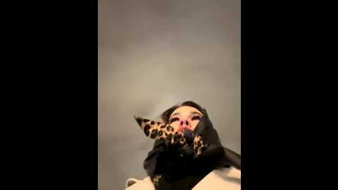 giavibey @ bongacams on 20260102