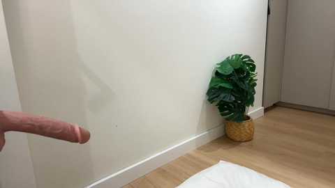 kellyyberyy @ bongacams on 20260104