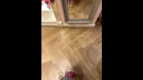 tokionajoe @ bongacams on 20260104