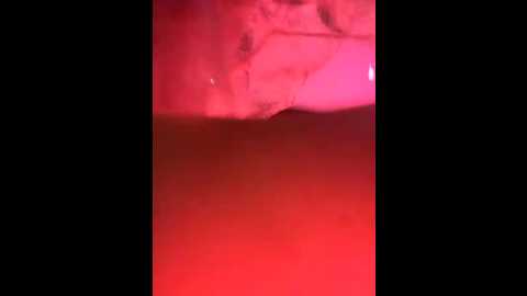 vip17coupledream @ bongacams on 20260104