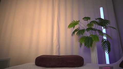 1orgasm1 @ bongacams on 20260106