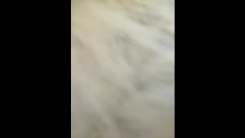 linahelen @ bongacams on 20260106