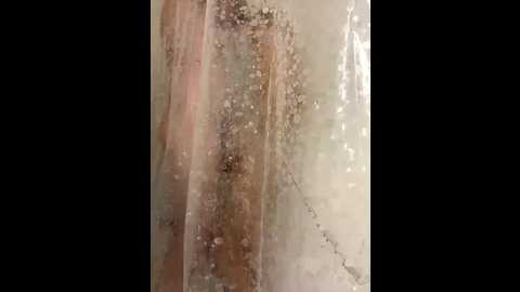 linatwins @ bongacams on 20260106