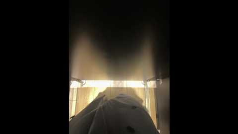 _cutiekitty_ @ bongacams on 20260107