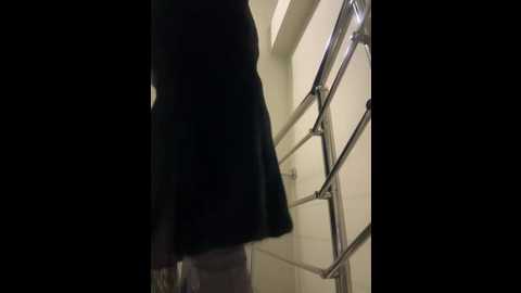 alliina_leee @ bongacams on 20260107