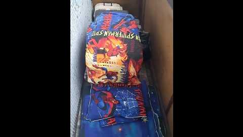 cat_bars69 @ bongacams on 20260107