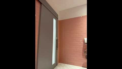 tokionajoe @ bongacams on 20260108