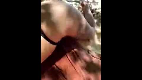 volnav @ bongacams on 20260110