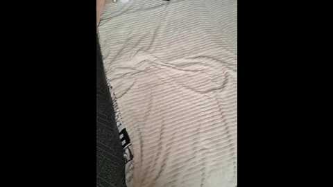 cat_bars69 @ bongacams on 20260111