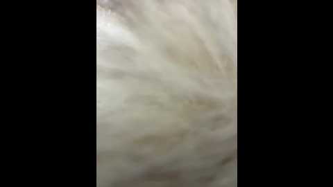 linahelen @ bongacams on 20260113