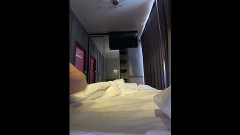 arlinst @ bongacams on 20260115