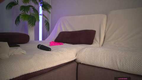 1orgasm1 @ bongacams on 20260116