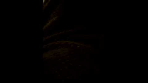 sladkaya69parochka @ bongacams on 20260116