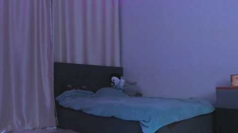 janetshy @ bongacams on 20260117