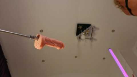 nicolehampton @ bongacams on 20260117