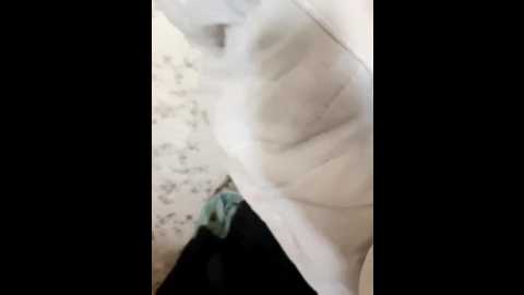 anitka @ bongacams on 20260118