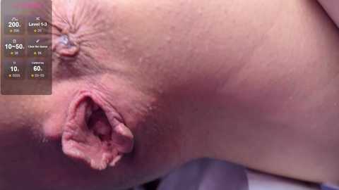 dvabomja @ bongacams on 20260118