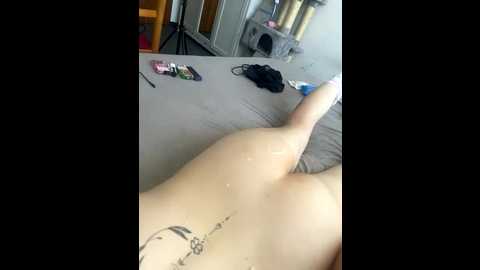 alissalexx @ bongacams on 20260119