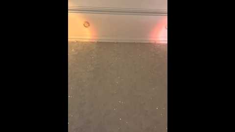 kissmec @ bongacams on 20260119