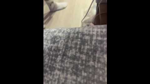 _sweet_cats_ @ bongacams on 20260120