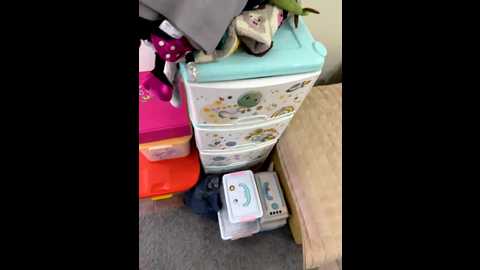 lolave @ bongacams on 20260120