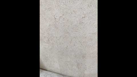 angelia22 @ bongacams on 20260121