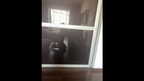 monikayyy @ bongacams on 20260121