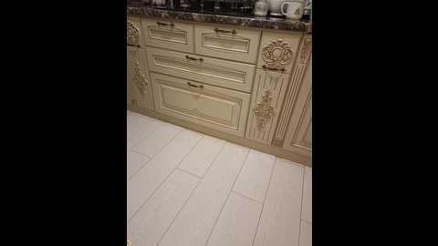 gerda_and_kai @ bongacams on 20260122