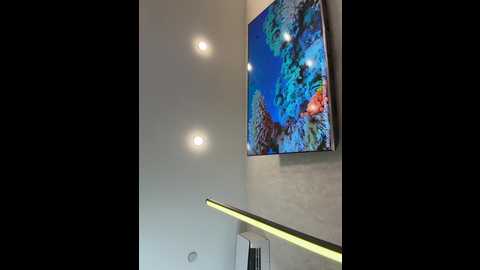 ellidi @ bongacams on 20260125