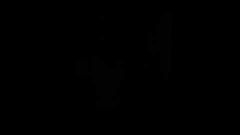 nelonia @ bongacams on 20260125