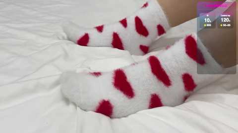 koketka @ bongacams on 20260126