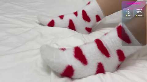 koketka @ bongacams on 20260126