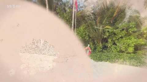 taanni @ bongacams on 20260126