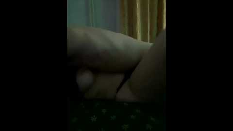 flabarpara @ bongacams on 20260128