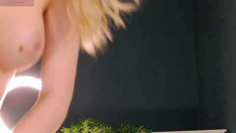 _mozaly_ @ bongacams on 20260130