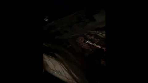 seksidal @ bongacams on 20260130