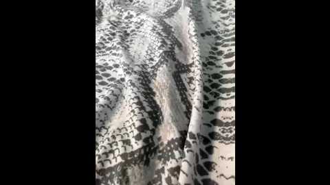 baby_69 @ bongacams on 20260202