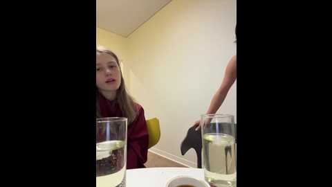 vibromashulkadashulka