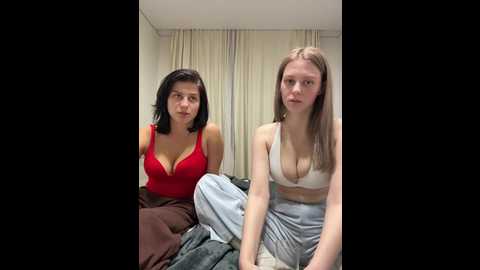 vibromashulkadashulka