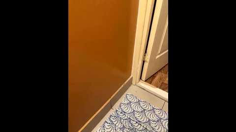 d_e @ bongacams on 20260204