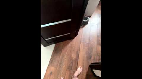 lolave @ bongacams on 20260207