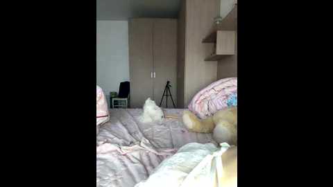 angelicfenix @ bongacams on 20260208