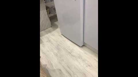 baby_69 @ bongacams on 20260210