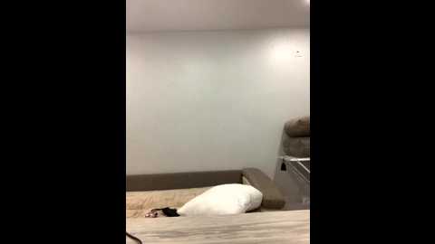 baby_69 @ bongacams on 20260210