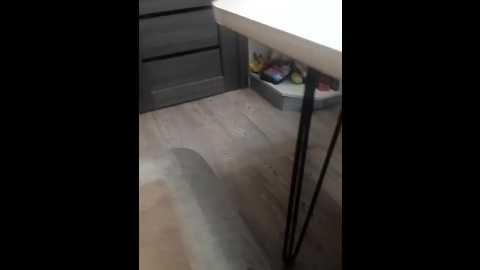 zaichullek @ bongacams on 20260211