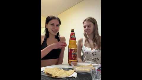 vibromashulkadashulka