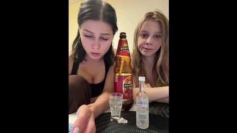 vibromashulkadashulka